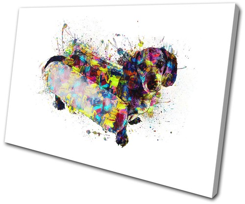 Dachshund sausage dog - sausage,