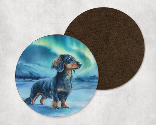 Dachshund dog northern - dog,