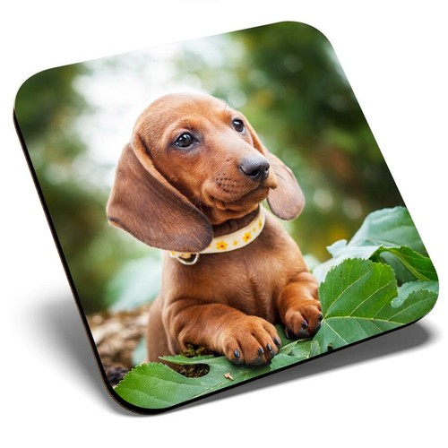 Square single coaster brown - square,