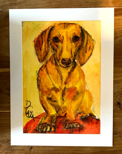 Dachshund sausage dog - dachshund,