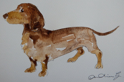 Watercolour dachshund dog - watercolour,