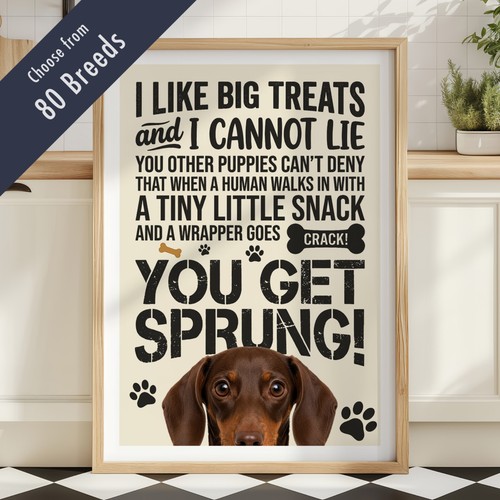 Funny dog treats lyric - funny,