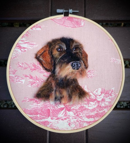 Dachshund wire haired wall - haired,