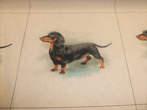 Dachshund cushion panels - dachshund, and