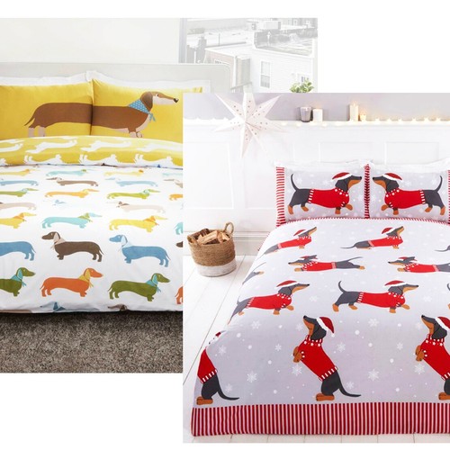 Dachshund sausage dog - dachshund,