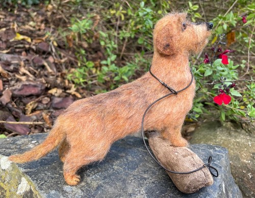 Red dachshund wire - dachshund,
