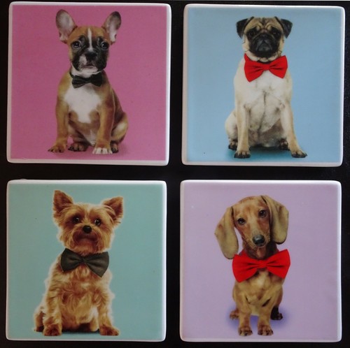 One single ceramic coaster pug - ceramic,