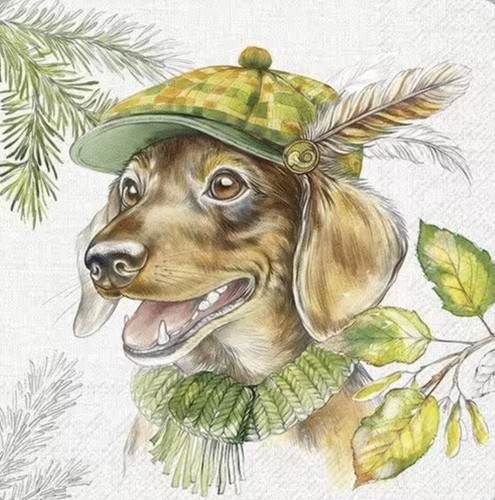 Dachshund dog single paper - 2,