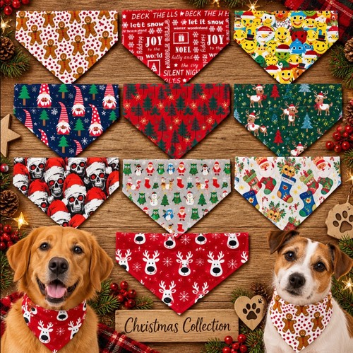 Handmade halloween dog - /, pet