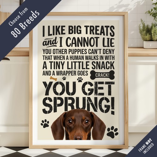 Funny dog treats lyric quote - funny,