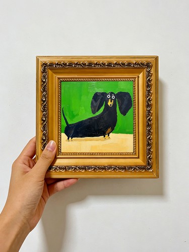 Cute black dachshund - cute,