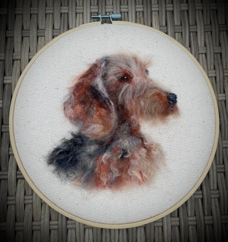 Dachshund wire haired teckel - haired,,
