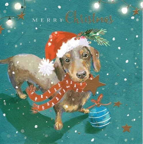 The wildlife merry - wildlife, christmas