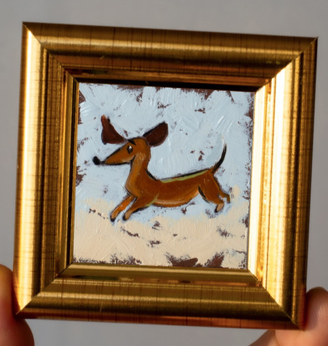 Tiny dachshund wiener - dachshund,