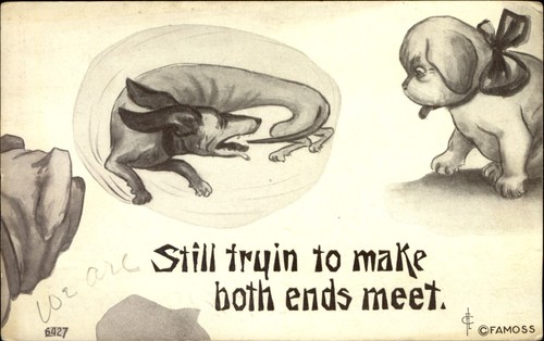 Dachshund chasing tail trying - tail,