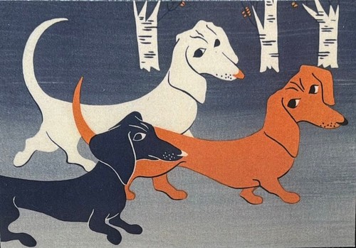 Dachshund dackel teckel dogs - dachshund,