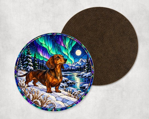 Dachshund dog northern lights - dog,