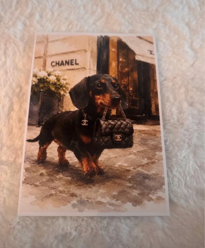 Dachshund with handbag - dachshund, in