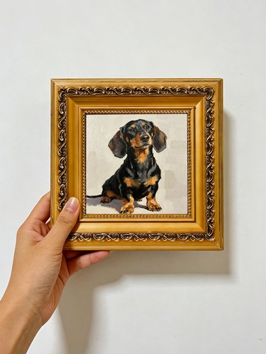 Sitting dachshund portrait - sitting,